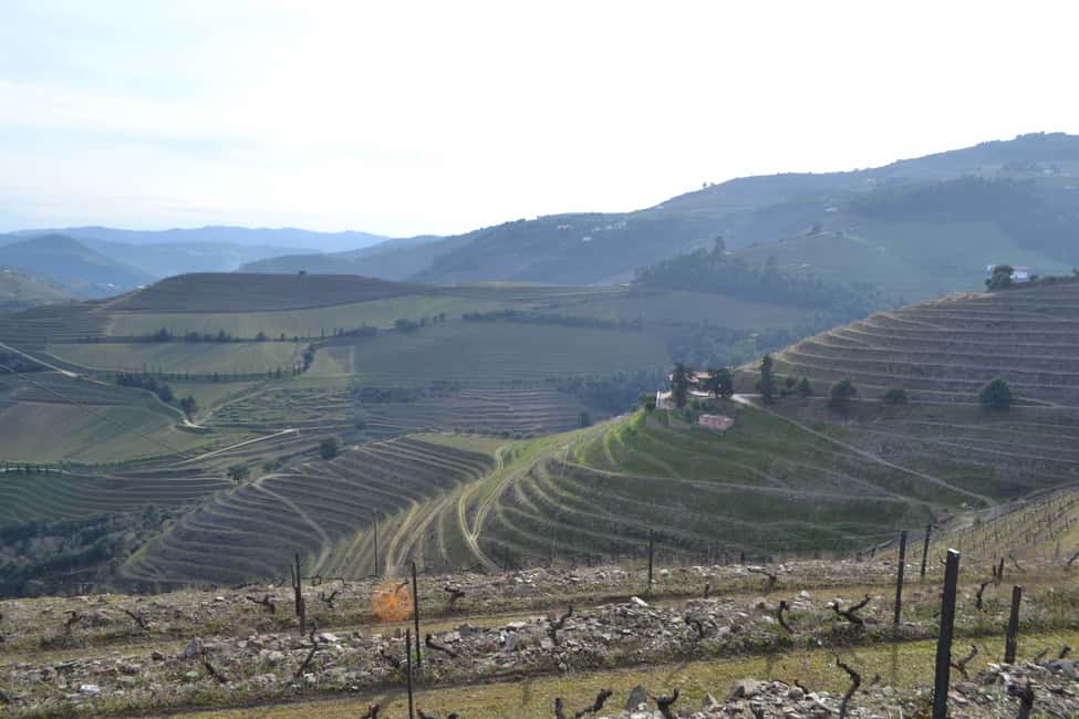 Bild Nr. 23 von Porto: 3 Douro Valley Vineyards Tour mit Mittagessen Aktivität in Região Norte, hochgeladen vom Anbieter