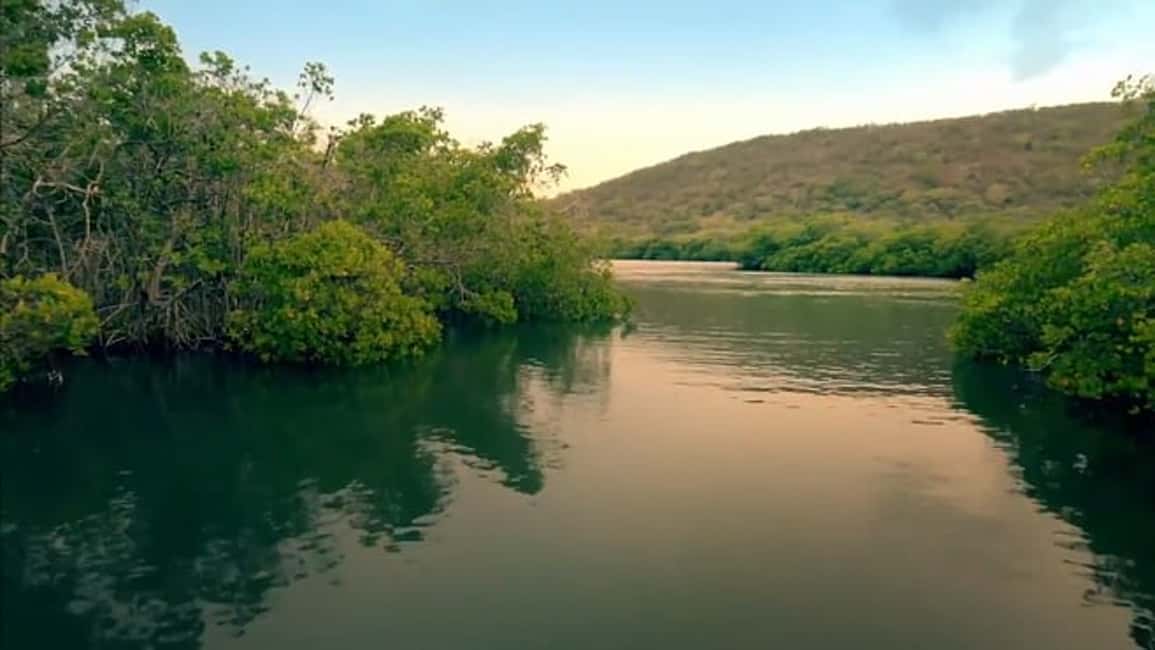 image n.7 of From San Juan: Bio Bay Magic & Rum Tasting Tour activity in Western Region, Puerto Rico, uploaded by supplier