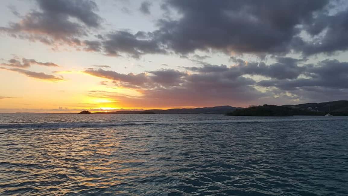 image n.11 of From San Juan: Bio Bay Magic & Rum Tasting Tour activity in Western Region, Puerto Rico, uploaded by supplier