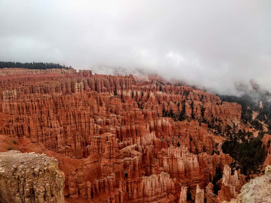 image n.6 of Bryce: Guided Sightseeing Tour of Bryce Canyon National Park activity in Utah, uploaded by supplier