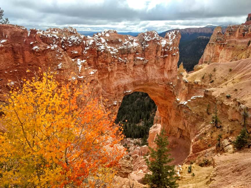 image n.5 of Bryce: Guided Sightseeing Tour of Bryce Canyon National Park activity in Utah, uploaded by supplier