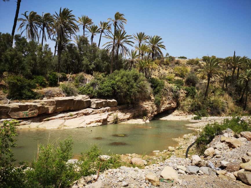 image n.14 of Agadir or Taghazout: Paradise Valley Atlas Mountains Tour activity in Agadir, uploaded by supplier