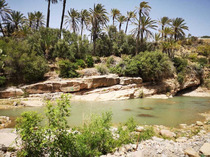 image n.18 of Agadir or Taghazout: Paradise Valley Atlas Mountains Tour activity in Agadir, uploaded by supplier