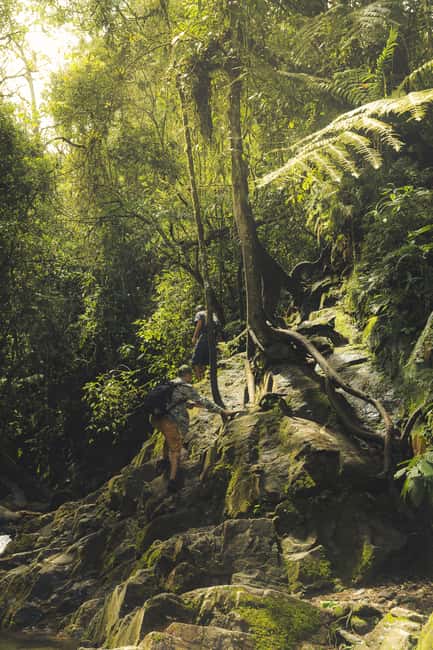 image n.8 of From Medellin Waterfalls: Guided Hiking Tour in Nature activity in Medellin, uploaded by supplier