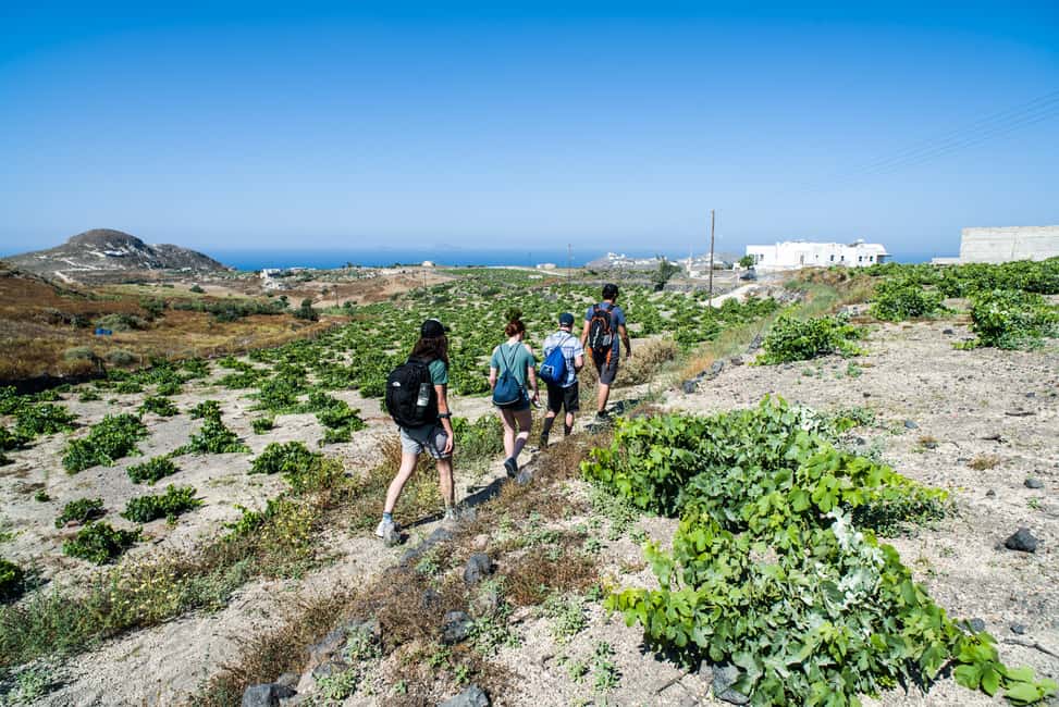 imagem n.5 de Santorini: Aula de culinária e caminhada fácil atividade em Fira, Santorini, carregada pelo fornecedor