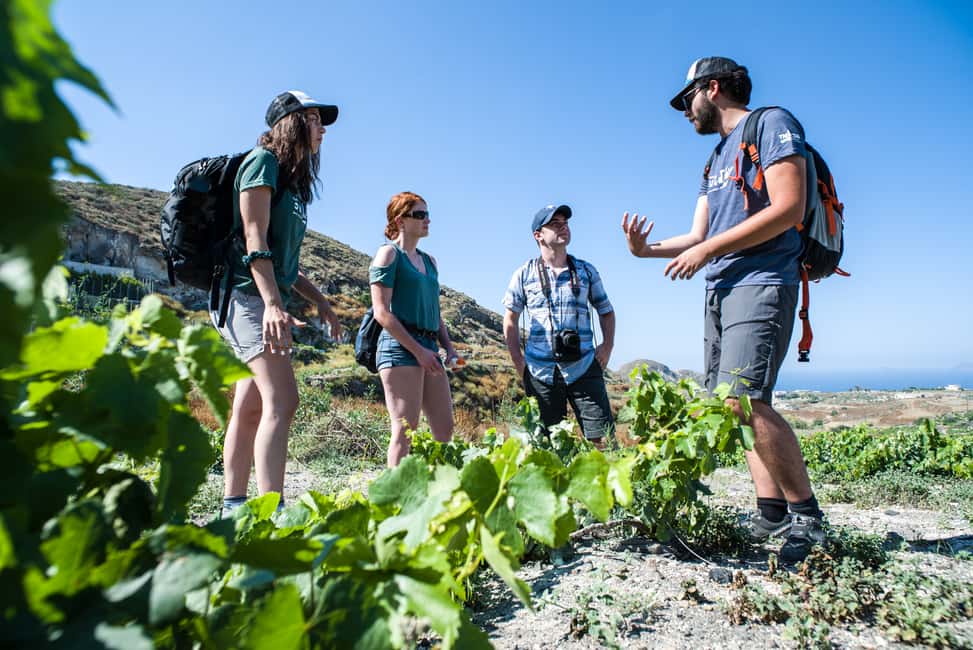 imagem n.4 de Santorini: Aula de culinária e caminhada fácil atividade em Fira, Santorini, carregada pelo fornecedor