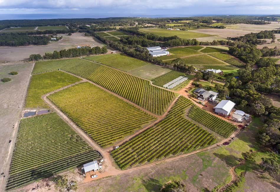 image n.7 of Margaret River: Full-Day Wine Tour activity in Busselton, uploaded by supplier