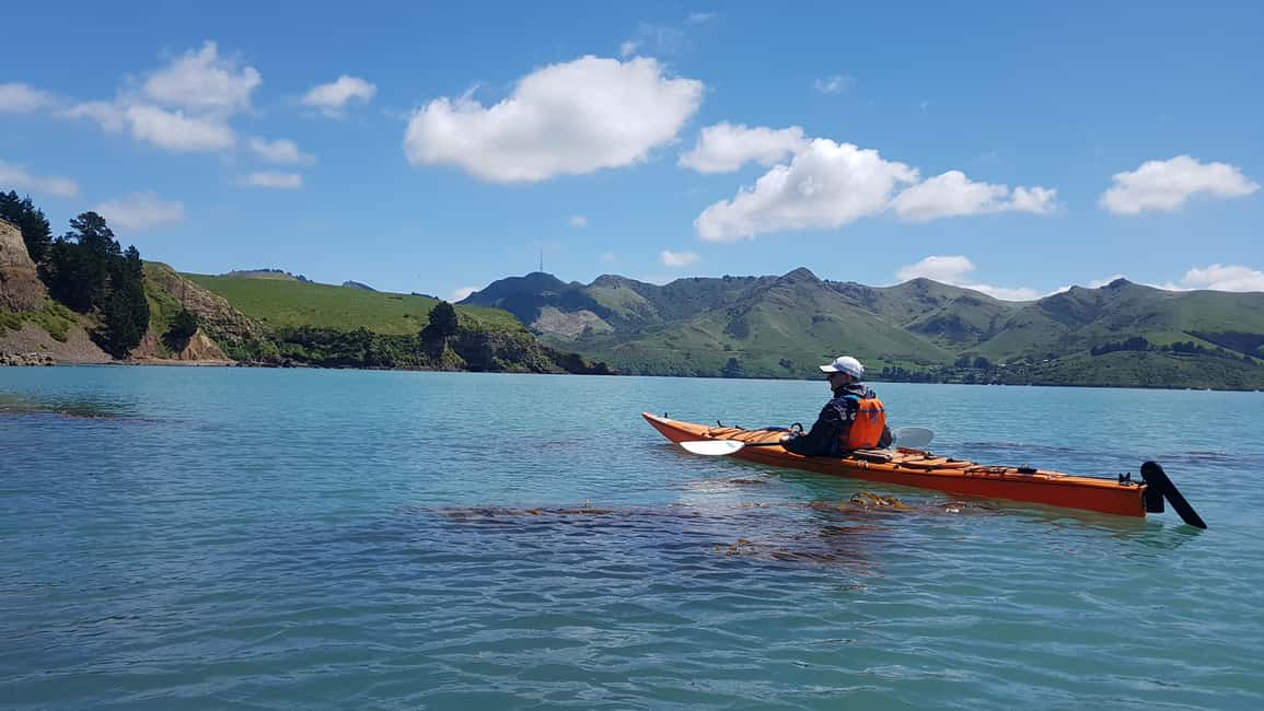 image n.17 of Christchurch: Sea Kayaking Tour of Lyttelton Harbour activity in South Island, uploaded by supplier