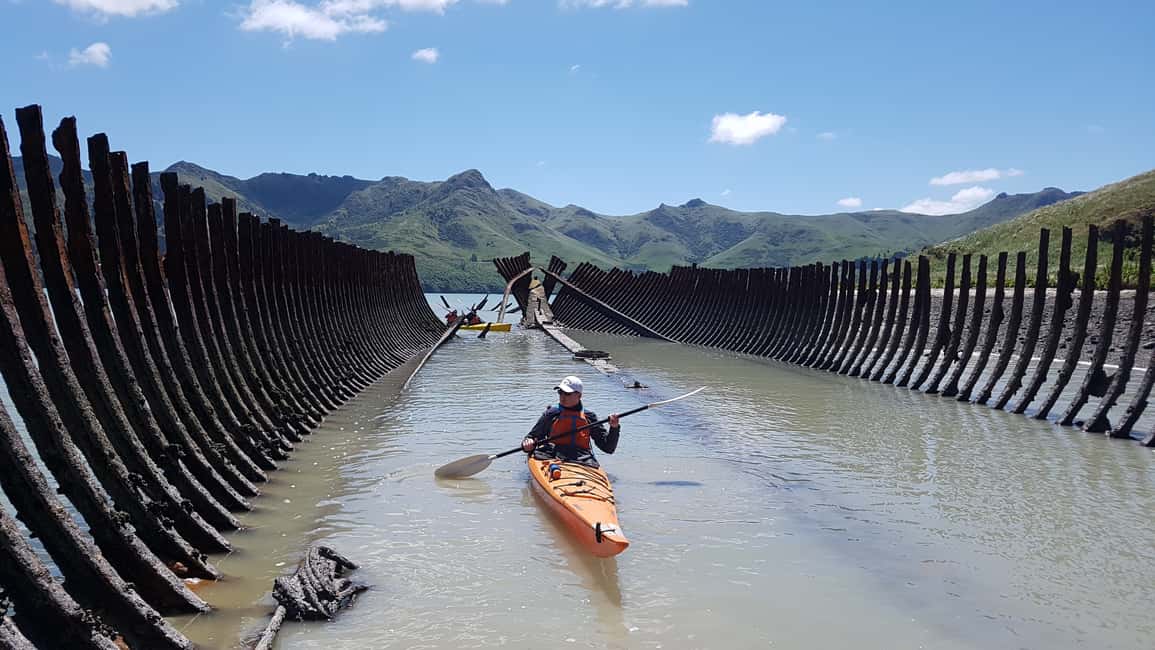 image n.16 of Christchurch: Sea Kayaking Tour of Lyttelton Harbour activity in South Island, uploaded by supplier