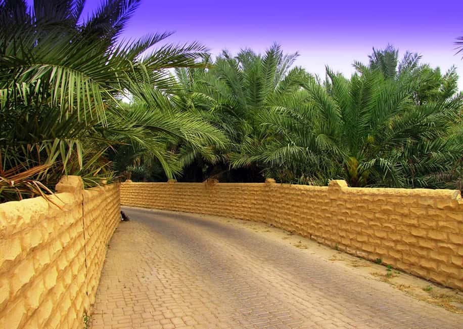 サプライヤーによってアップロードされた、アル アインのアブダビ発：アルアイン 1 日ツアー（ランチ付き）の画像#7