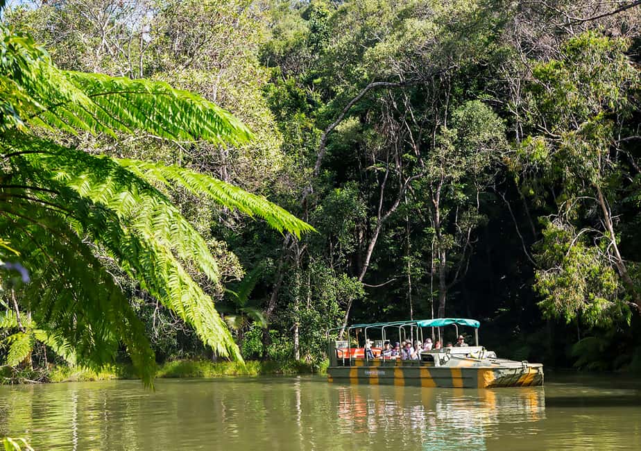image n.3 of Day Trip: Rainforest & Aboriginal Culture Tour activity in Kuranda, uploaded by supplier