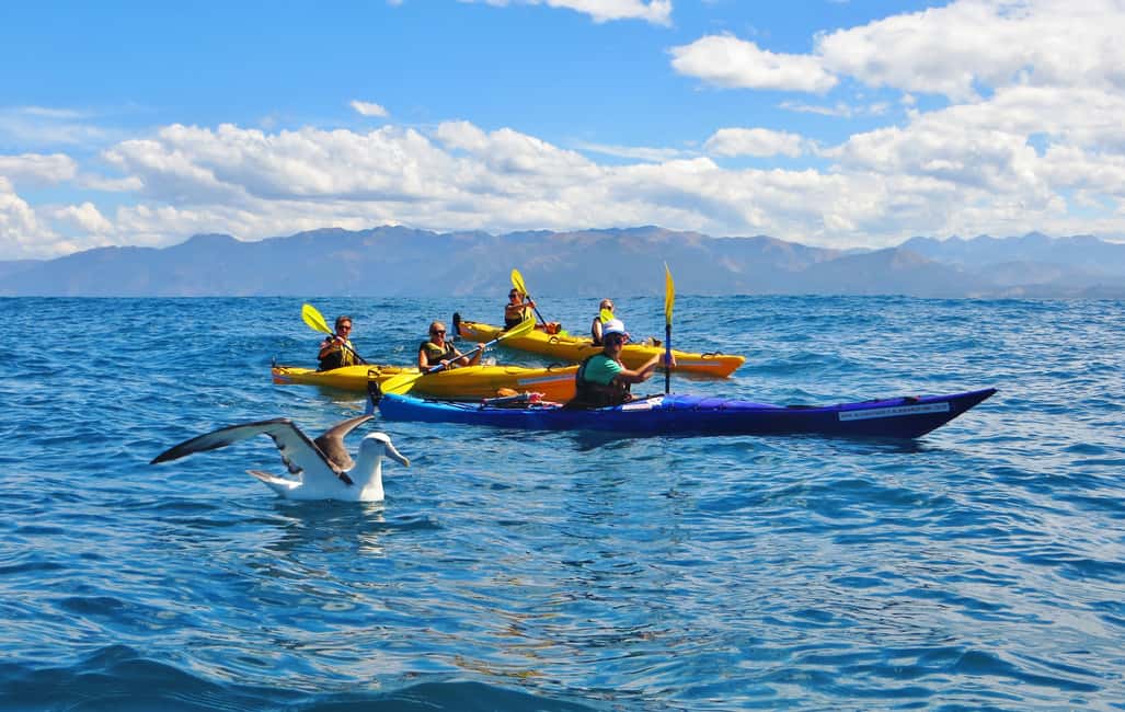 image n.14 of Kaikoura: Sunset Evening Kayaking Tour activity in Kaikoura, uploaded by supplier