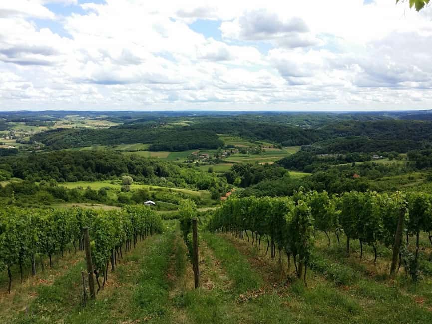 image n.4 of From Zagreb: Fairytale Castle & Wine Tasting & Lunch activity in Trakošćan, uploaded by supplier
