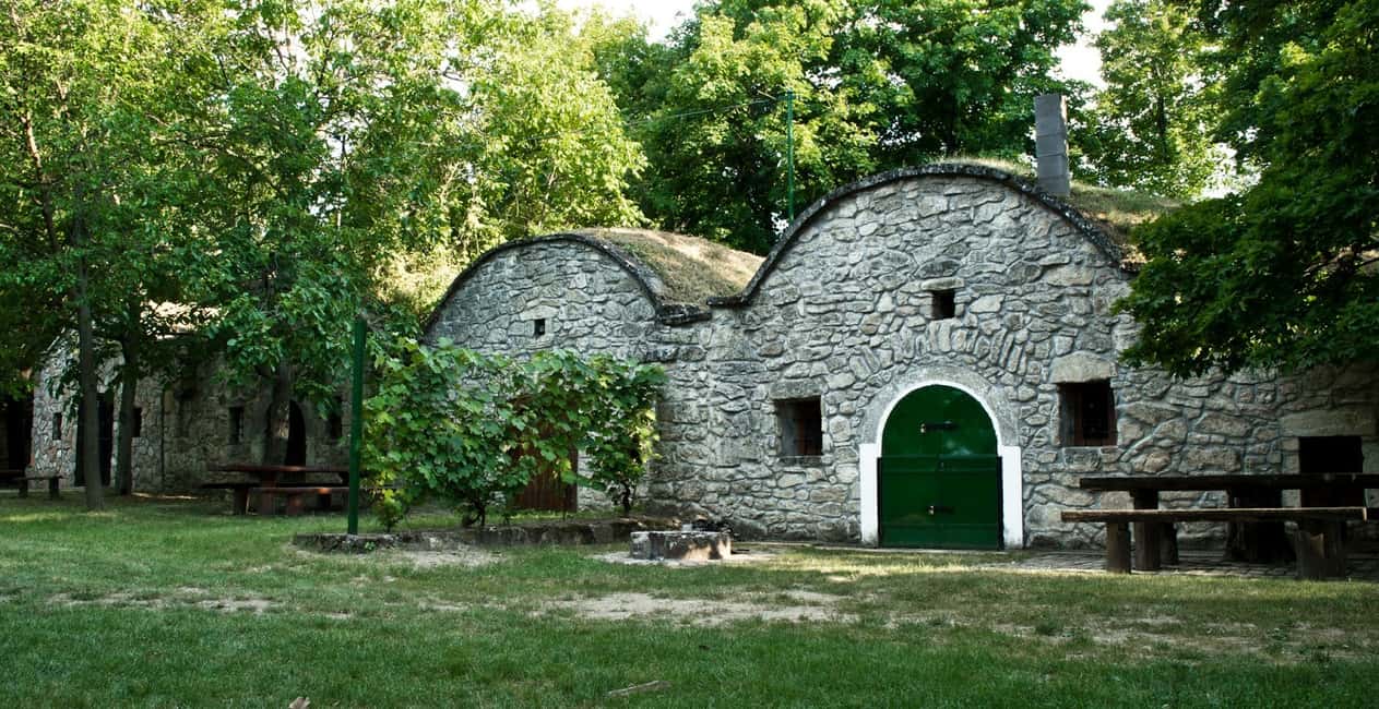 image n.1 of From Budpaest: Páty Wine Village Tour with Tastings activity in Páty, uploaded by supplier