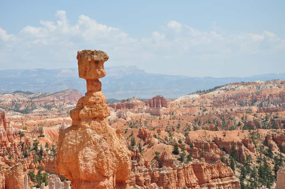 image n.7 of Bryce: Guided Sightseeing Tour of Bryce Canyon National Park activity in Utah, uploaded by supplier