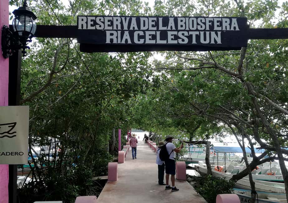 Image N°4 de Depuis Mérida : Visite de la réserve de biosphère de Ria Celestun activité à Celestún, publiée par le prestataire