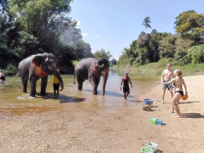image n.3 of Khao Lak: Khao Sok Private Elephant Daycare & Bamboo Rafting activity in Khlong Sok, uploaded by supplier
