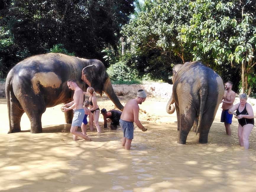 image n.4 of Khao Lak: Khao Sok Private Elephant Daycare & Bamboo Rafting activity in Khlong Sok, uploaded by supplier