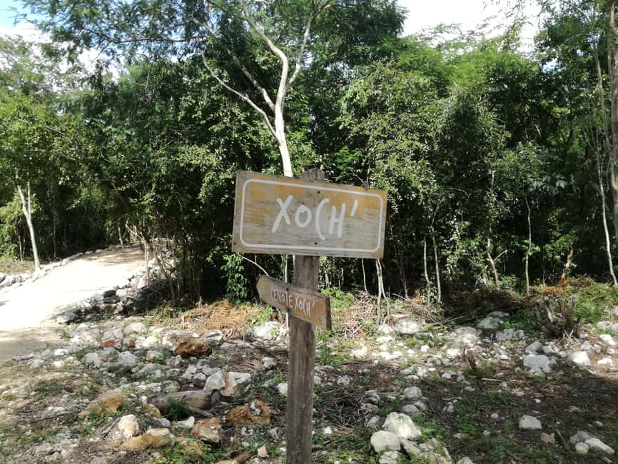image n.15 of From Merida: Full-Day Cuzama Cenotes tour activity in Mérida, uploaded by supplier