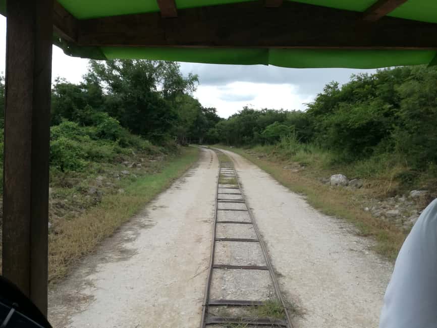 image n.12 of From Merida: Full-Day Cuzama Cenotes tour activity in Mérida, uploaded by supplier