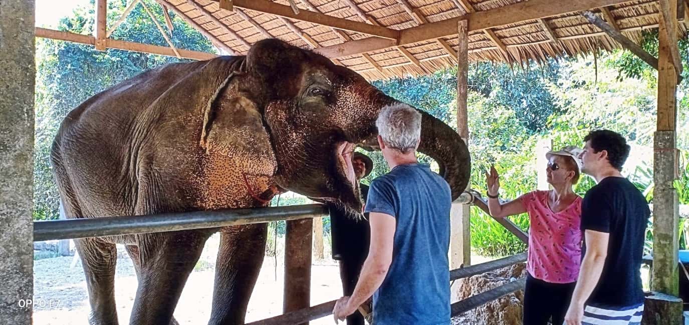 image n.5 of Khao Lak: Khao Sok Private Elephant Daycare & Bamboo Rafting activity in Khlong Sok, uploaded by supplier
