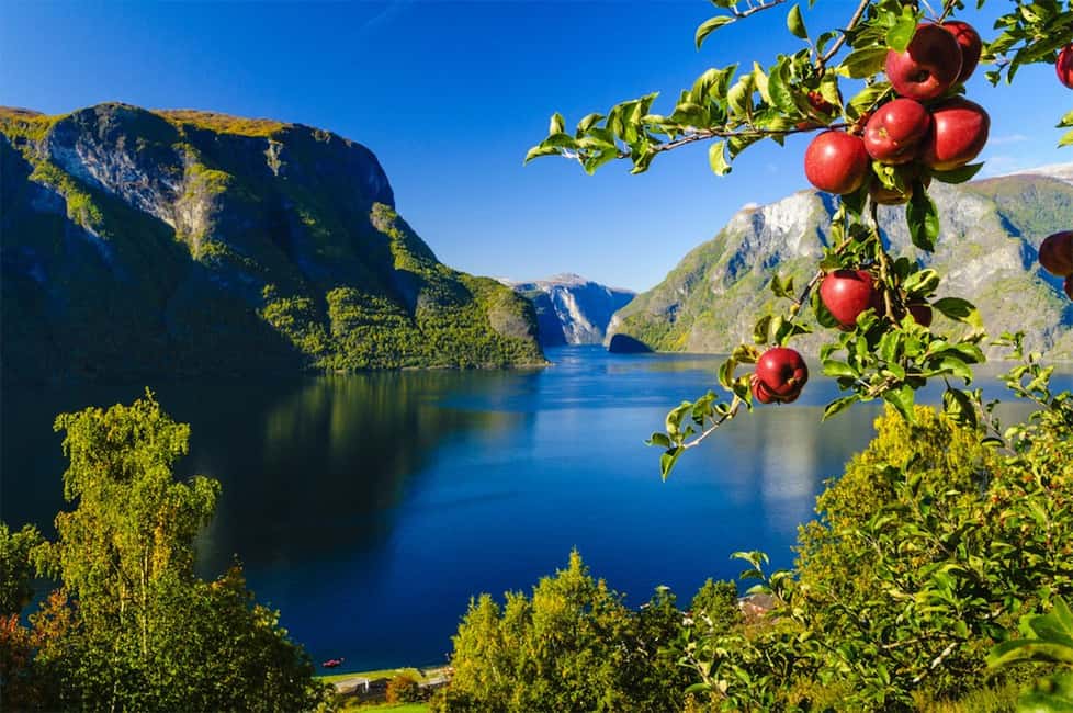 Image N°7 de Bergen : visite privée, croisière dans le Nærøyfjord et chemin de fer de Flåm activité à Flåm, publiée par le prestataire