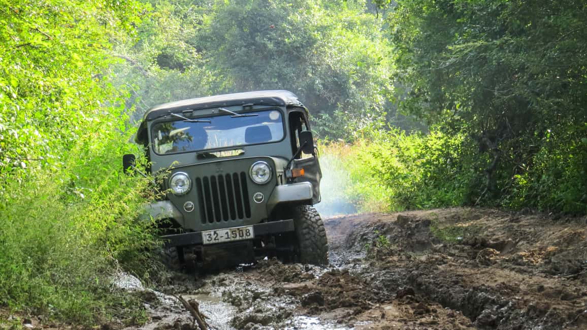 image n.3 of Wasgamuwa: Wasgamuwa National Park Private 3-Hour Safari activity in Sigiriya, uploaded by supplier