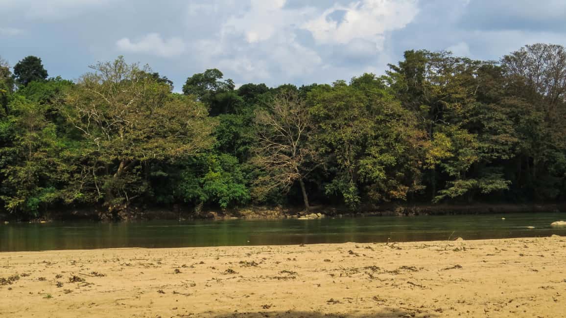image n.6 of Wasgamuwa: Wasgamuwa National Park Private 3-Hour Safari activity in Sigiriya, uploaded by supplier