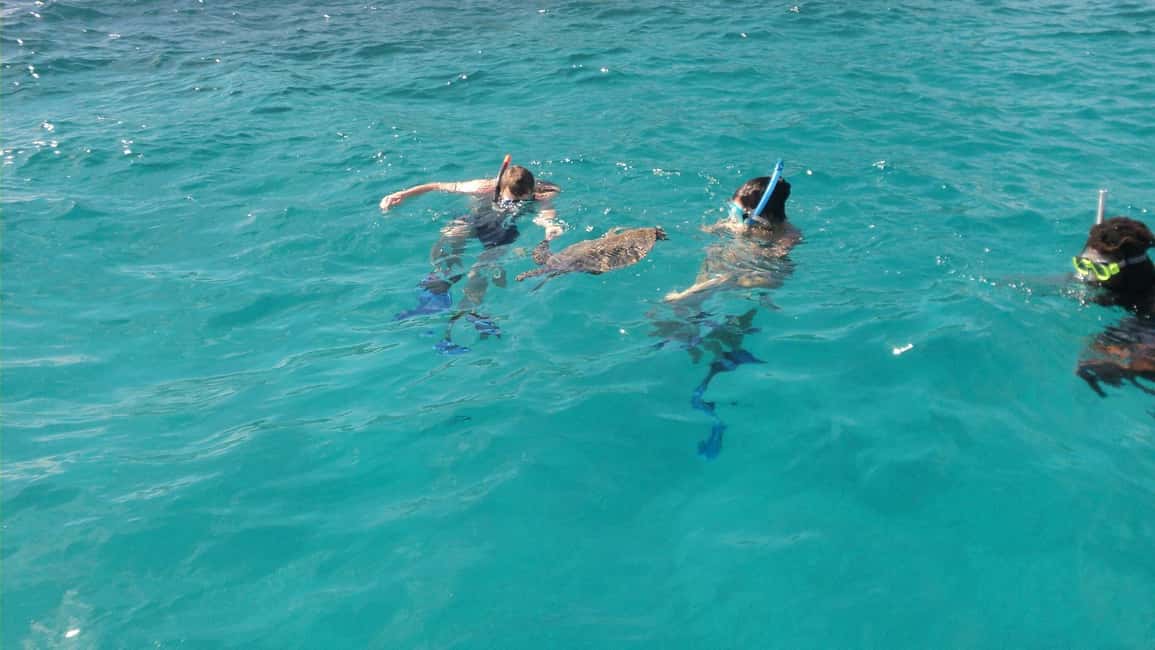 image n.6 of Praslin: Coco Felicite & La Digue Island Full-Day Boat Trip activity in Mahé, uploaded by supplier