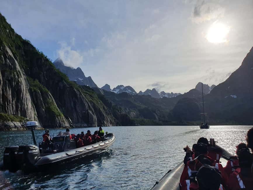 image n.4 of From Svolvær: RIB Boat Lofoten Trollfjord Sea Eagle Safari activity in Nordland County, uploaded by supplier