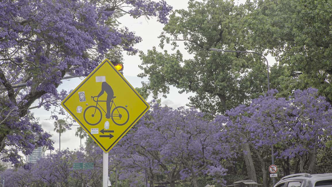 image n.20 of Buenos Aires: Full Day Bike Tour with Lunch activity in Buenos Aires, uploaded by supplier