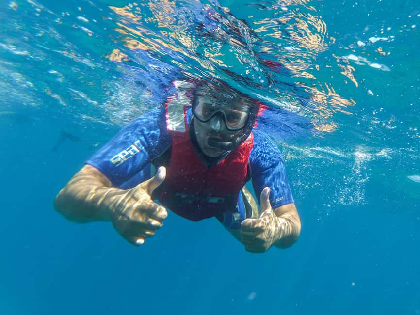 image n.3 of Fuerteventura: 2-Hour Kayaking and Snorkeling Excursion activity in La Lajita, uploaded by supplier