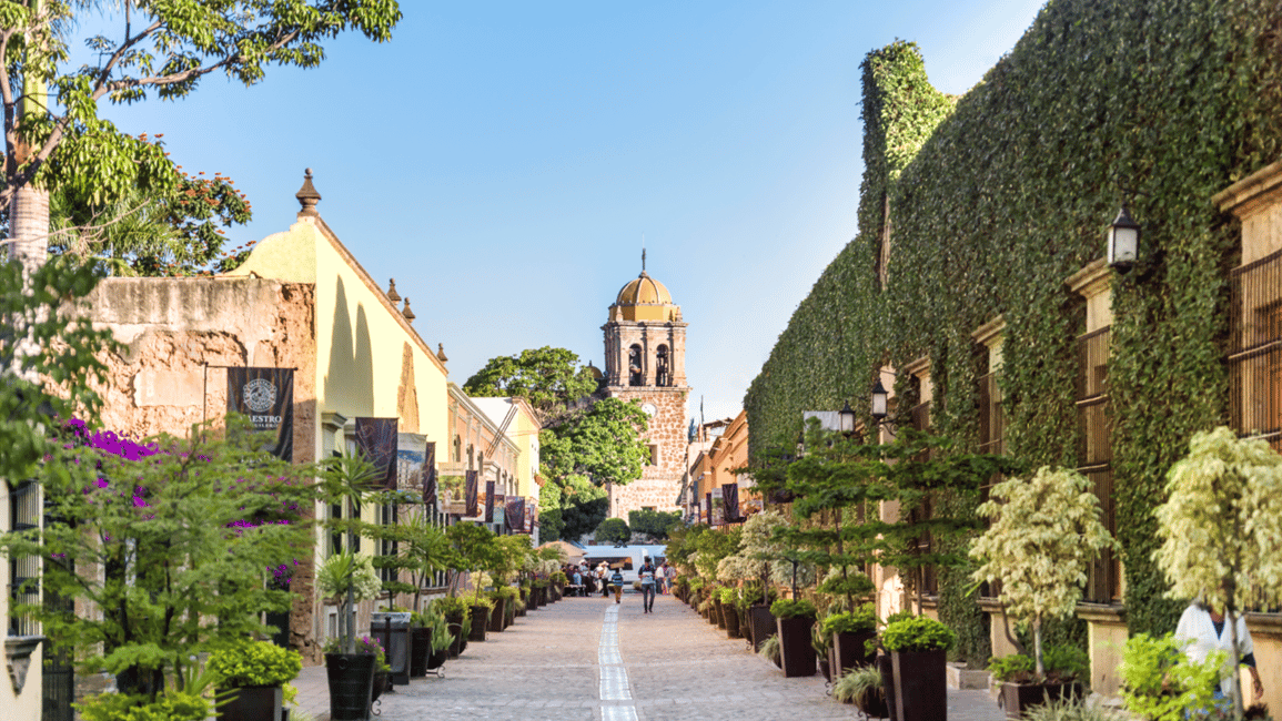 image n.8 of From Guadalajara: Town of Tequila & Jose Cuervo Factory Tour activity in Tequila, uploaded by supplier