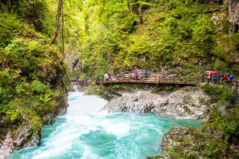 image n.14 of From Ljubljana: Day Trip to Bled and Vintgar Gorge activity in Bled, uploaded by supplier