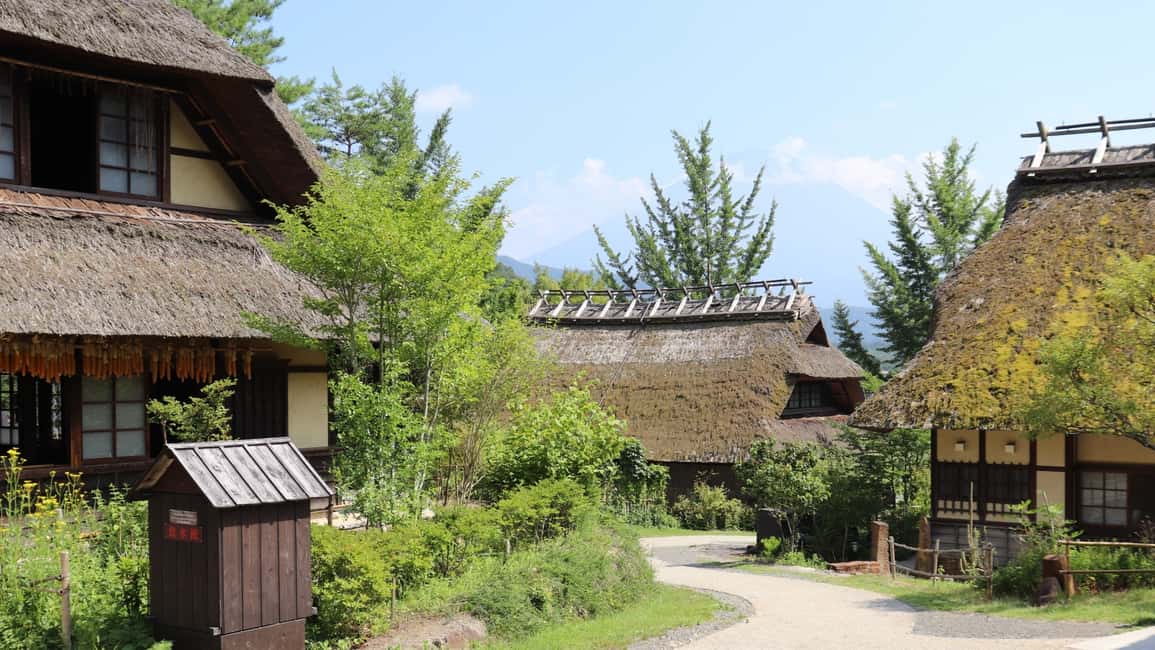 image n.31 of Tokyo: Mt. Fuji, LakeKawaguchiko, Pagoda, & Oishi Park Tour activity in Fujinomiya, uploaded by supplier