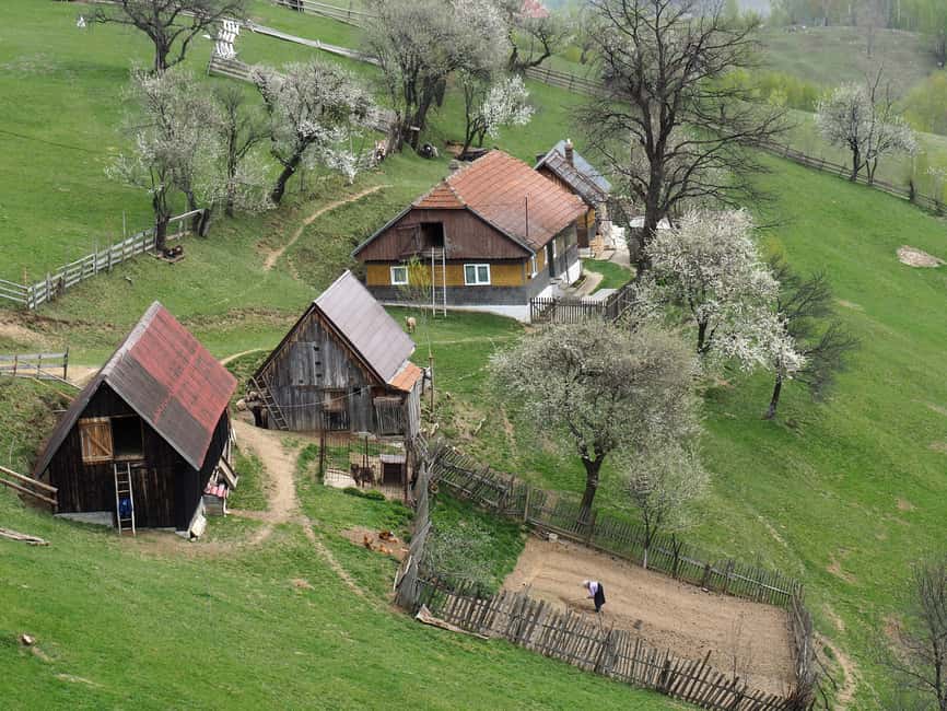 Bild Nr. 3 von Von Brasov: Piatra Craiului Nationalpark 2-tägige geführte Wanderung Aktivität in Brasov, hochgeladen vom Anbieter