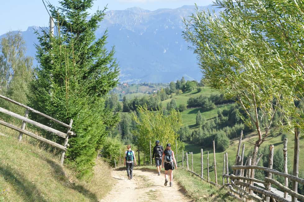 Bild Nr. 5 von Von Brasov: Piatra Craiului Nationalpark 2-tägige geführte Wanderung Aktivität in Brasov, hochgeladen vom Anbieter