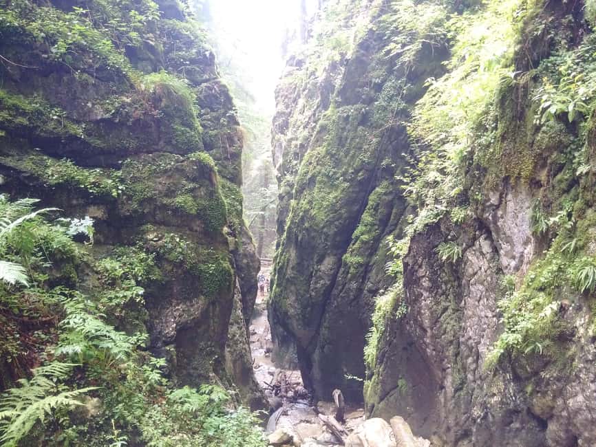 Bild Nr. 7 von Von Brasov: Piatra Craiului Nationalpark 2-tägige geführte Wanderung Aktivität in Brasov, hochgeladen vom Anbieter
