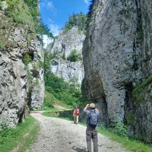 Bild Nr. 10 von Von Brasov: Piatra Craiului Nationalpark 2-tägige geführte Wanderung Aktivität in Brasov, hochgeladen vom Anbieter