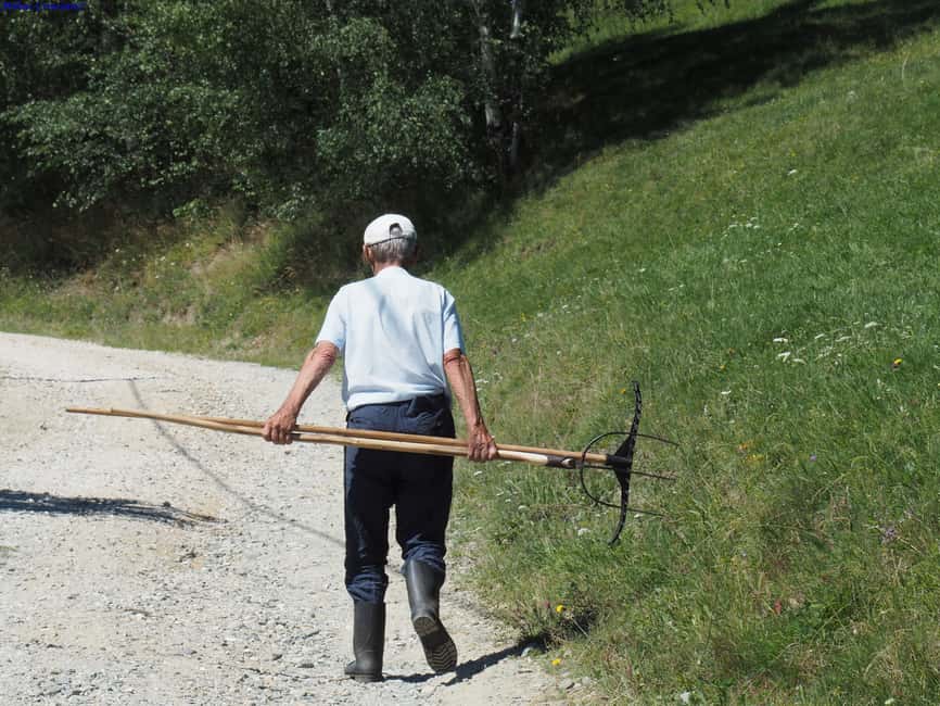 Bild Nr. 11 von Von Brasov: Piatra Craiului Nationalpark 2-tägige geführte Wanderung Aktivität in Brasov, hochgeladen vom Anbieter