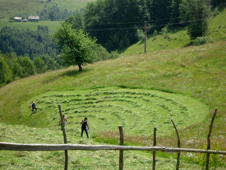 Bild Nr. 16 von Von Brasov: Piatra Craiului Nationalpark 2-tägige geführte Wanderung Aktivität in Brasov, hochgeladen vom Anbieter