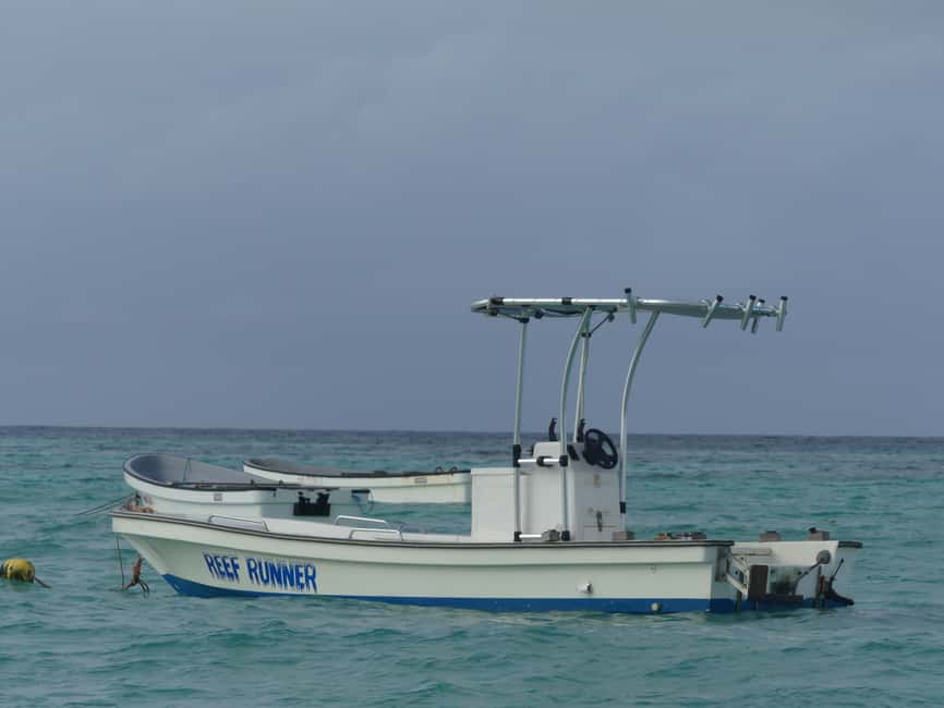 image n.5 of Zanzibar: Jozani Forest National Park and Dolphin Encounter activity in Unguja South Region, uploaded by supplier
