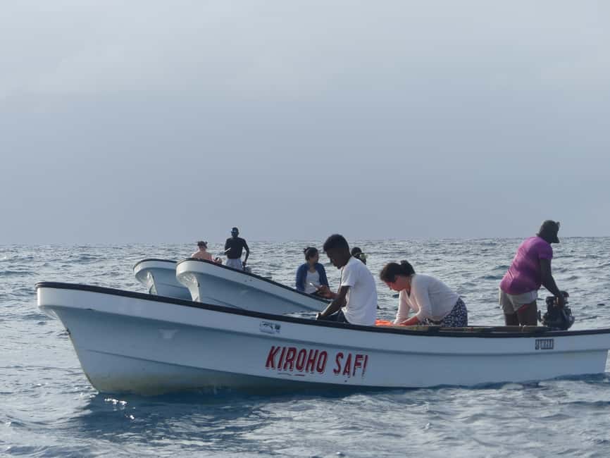 image n.6 of Zanzibar: Jozani Forest National Park and Dolphin Encounter activity in Unguja South Region, uploaded by supplier