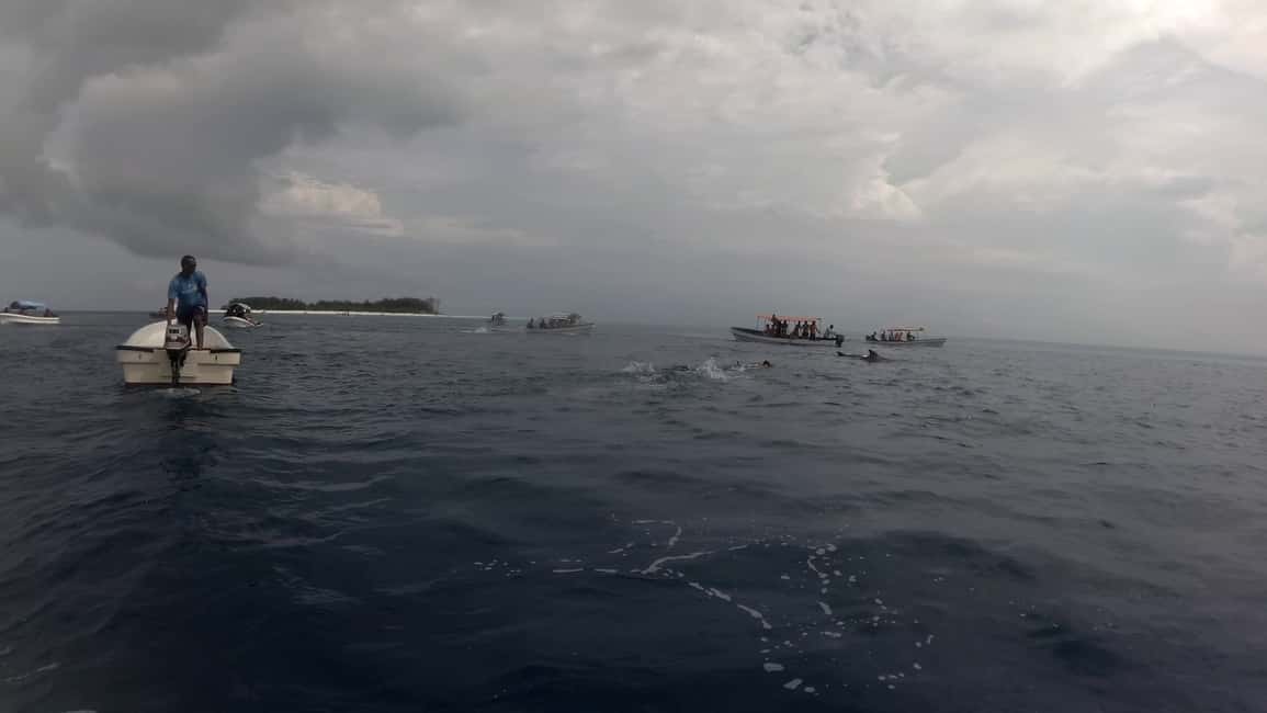 image n.9 of Zanzibar: Jozani Forest National Park and Dolphin Encounter activity in Unguja South Region, uploaded by supplier