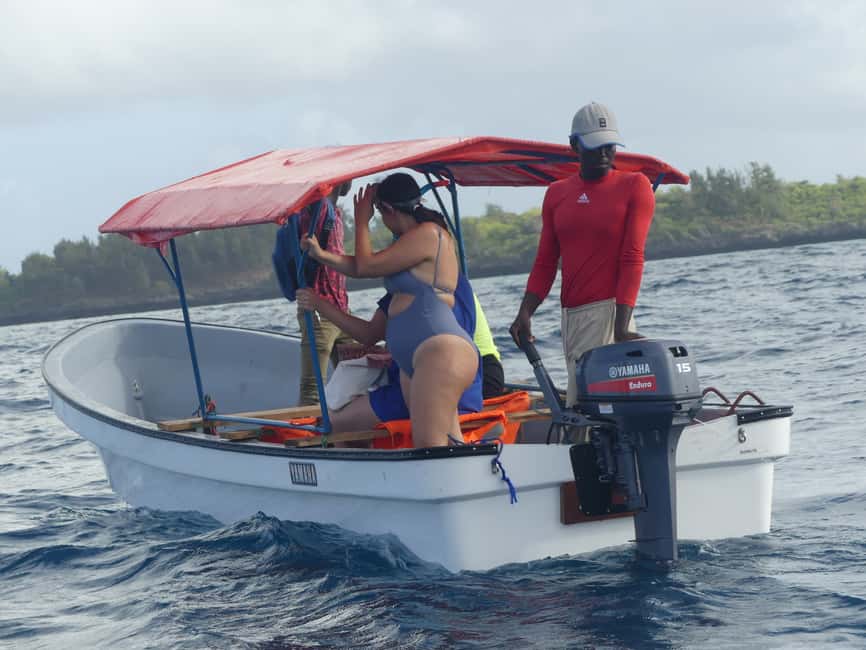 image n.8 of Zanzibar: Jozani Forest National Park and Dolphin Encounter activity in Unguja South Region, uploaded by supplier