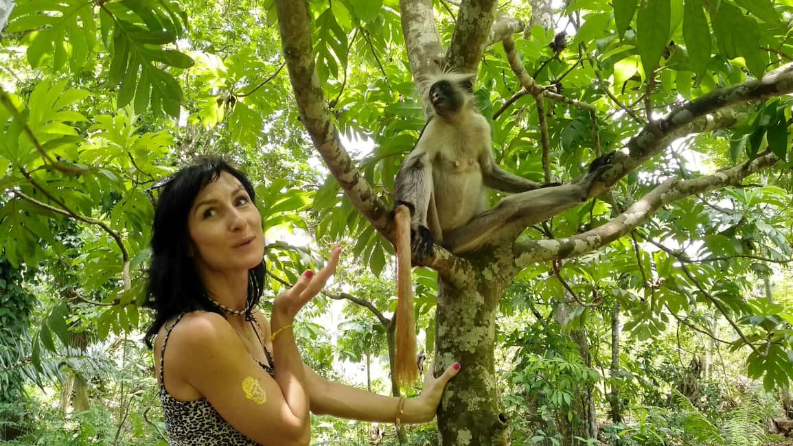 image n.2 of Zanzibar: Jozani Forest National Park and Dolphin Encounter activity in Unguja South Region, uploaded by supplier