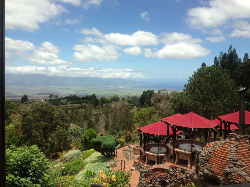 Immagine nº 8 di Maui: Tour dell'alba del Parco Nazionale di Haleakala attività a Hawaii, caricata dal fornitore