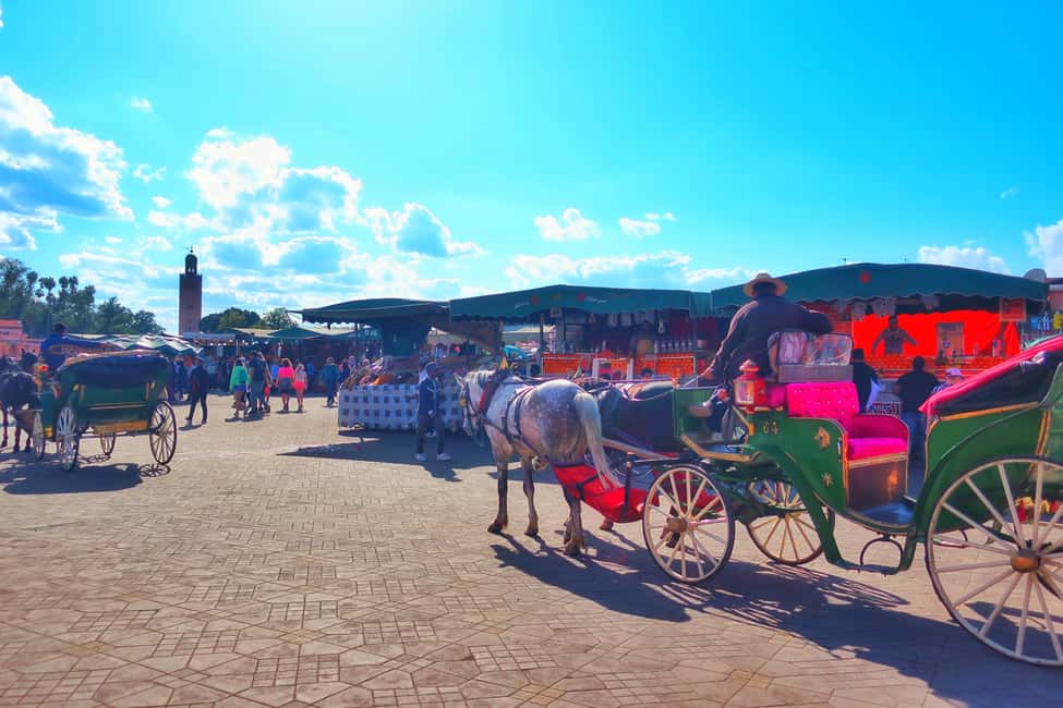 image n.3 of Marrakech: Private Half-Day City Highlights Tour activity in Marrakesh, uploaded by supplier