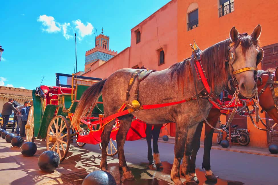 image n.4 of Marrakech: Private Half-Day City Highlights Tour activity in Marrakesh, uploaded by supplier