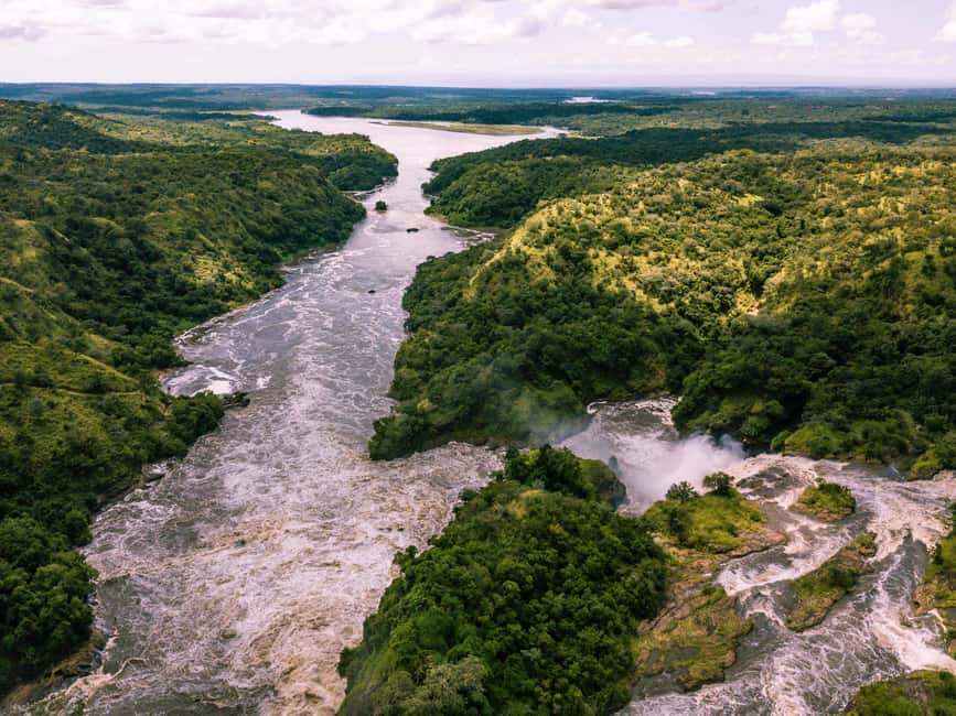 image n.6 of Kampala: 2-Day Murchison Falls National Park Safari activity in Pader District, uploaded by supplier